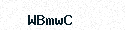 Visual Confirmation Security Code